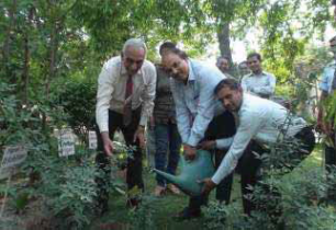 Tree plantation at PMD plant