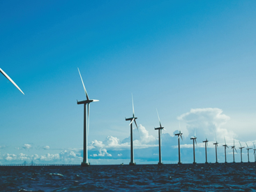 Original Equipment Manufacturers (OEM)